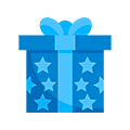 Bonus Features Ico